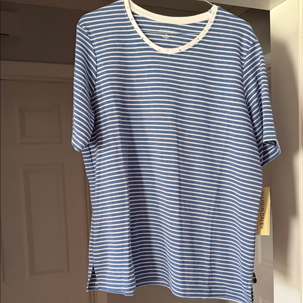 NWT Allison Daley Blue and White Striped Top